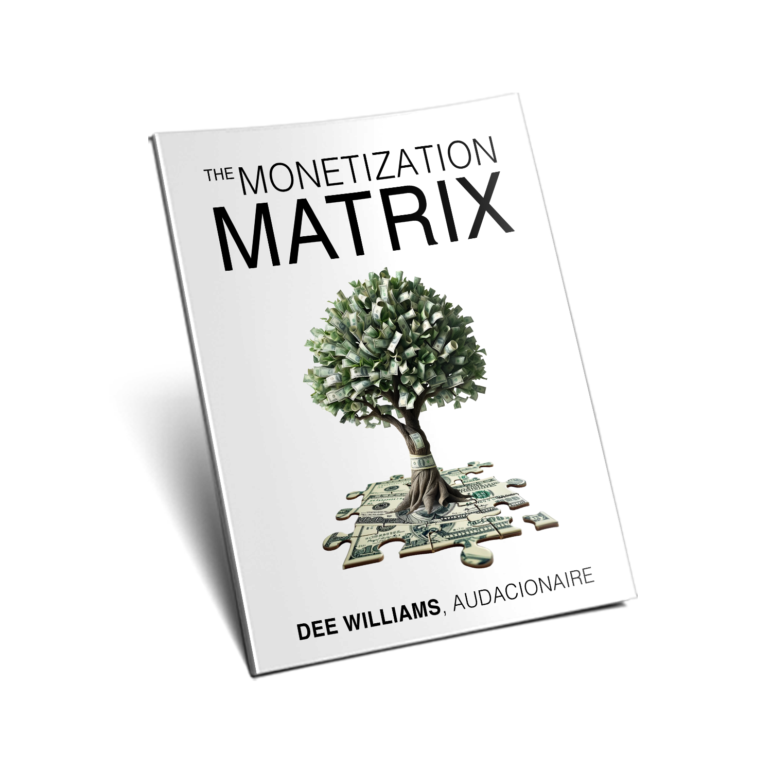 Cover: The Monetization Matrix book mockup